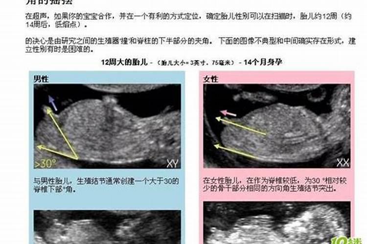 八字怎么看子女出生时间,如何正确判断八字的出生时辰