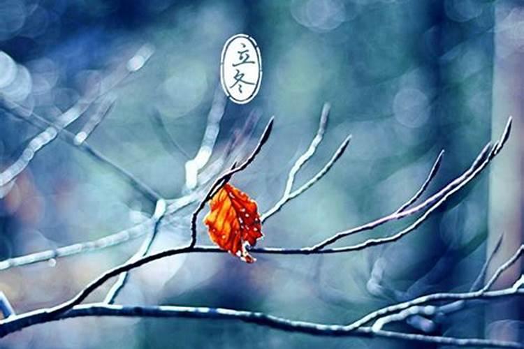 关于立冬节气的知识