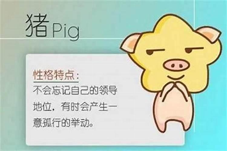 95年的属猪人找对象2024 1995年属猪最佳对象