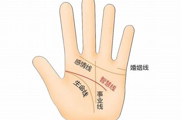 八字面相手相骨重各占多少？
