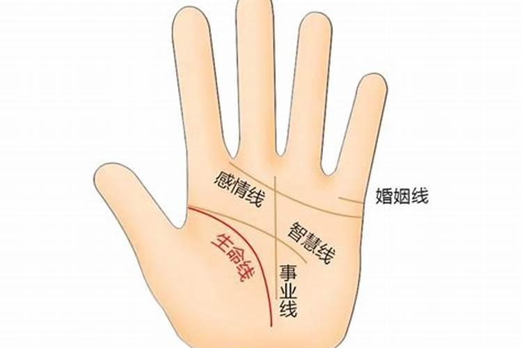 一生劳碌命的女人手相 生活艰苦的人事业线都不好？