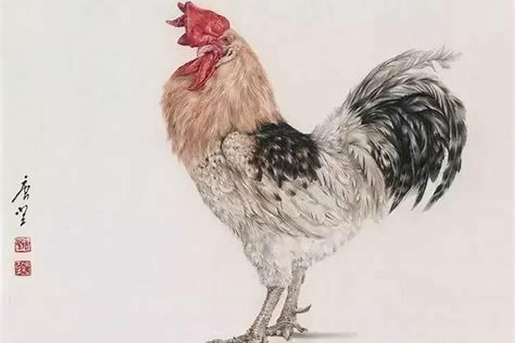 93年属鸡农历9月哪一天好,属鸡6月出生是什么命