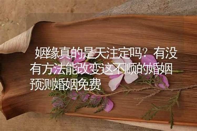 腊八豆一年四季都可以做吗