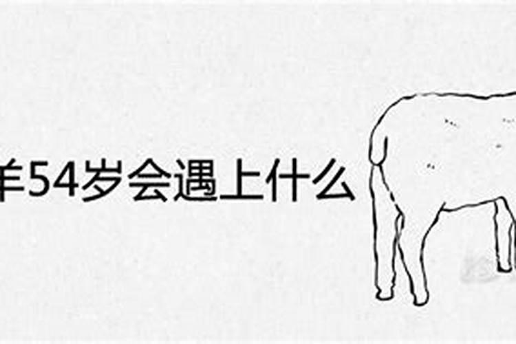 1967年羊的退休时间是哪年,鼠年、牛年、狗年