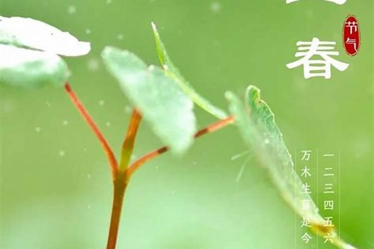 立春节气民间传统习俗