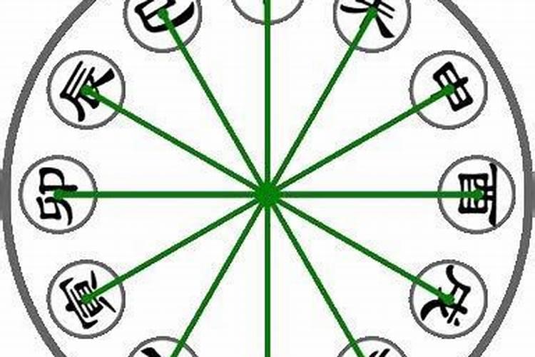 寅、卯、酉、巳,戌分别念什么？