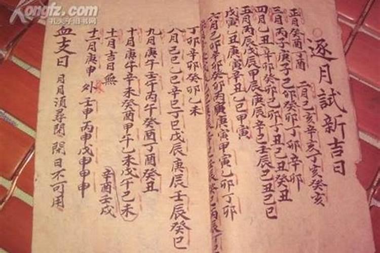 2025年是什么年什么命