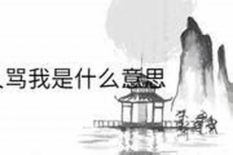 梦见有人当众骂我的预兆