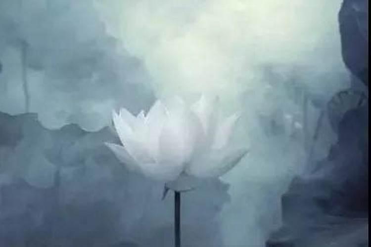 梦见湖泊什么意思