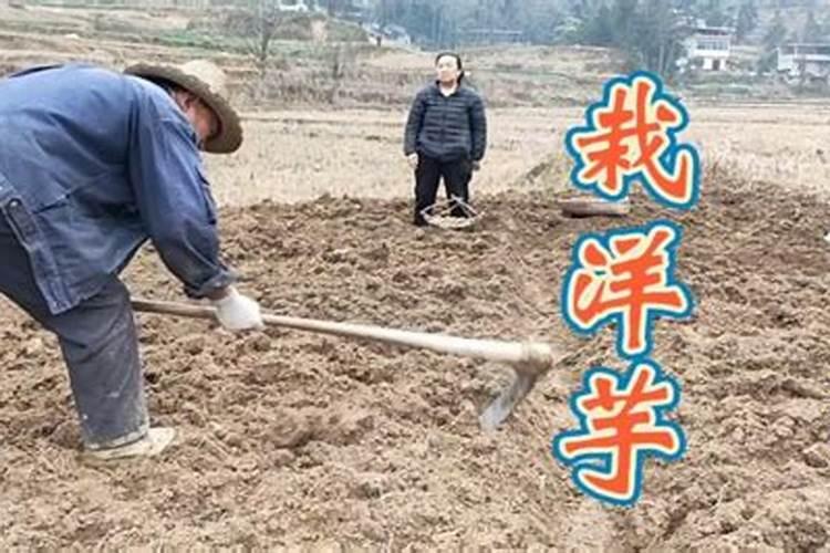 清明节为何是炒股好时机？