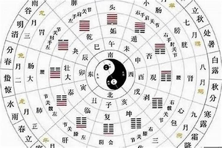 玖月奇迹是在哪个节目唱《最美的中国》？