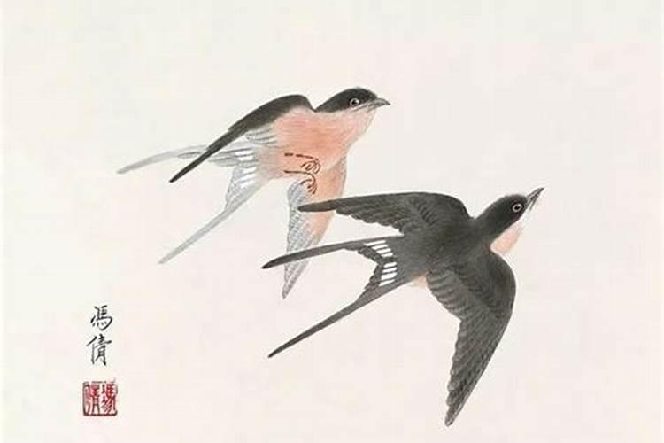 梦见去世的人又去世的葬礼的预兆
