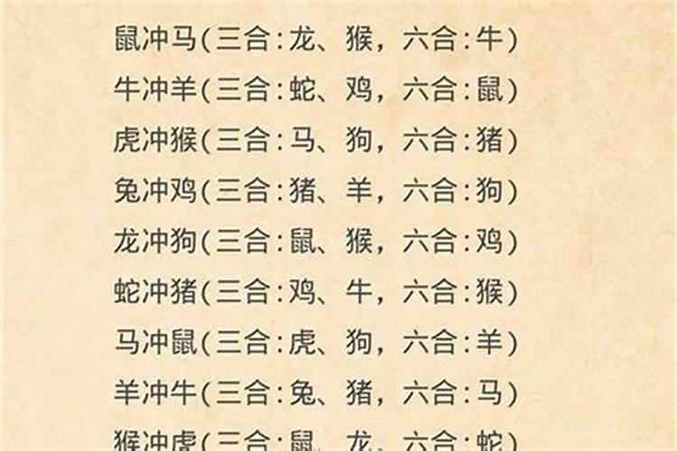 男属鼠女属羊八字合吗,91属羊的在明年鼠年生孩子