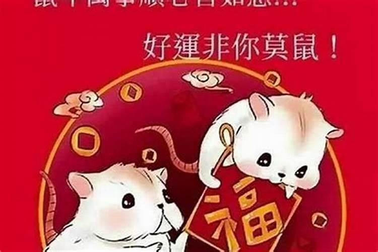 属鼠初二生好不好 鼠初二出生是什么命？