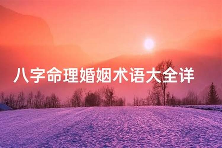 周易生辰八字命理深度解析
