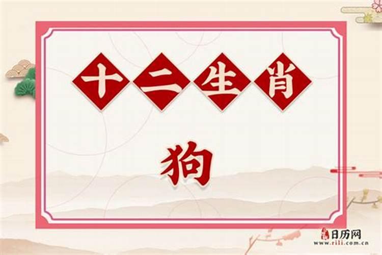 属蛇的和属羊的合不合