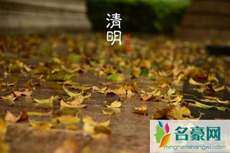 什么生肖与清明节有关