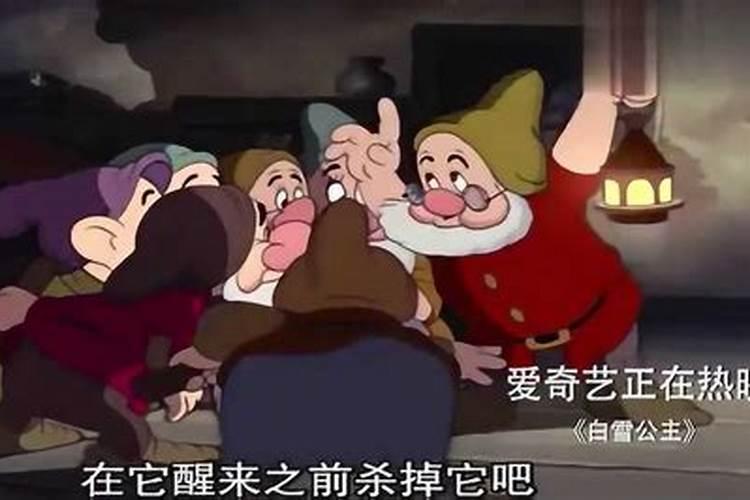 转运竹放哪里最旺财五个位置最适合摆放