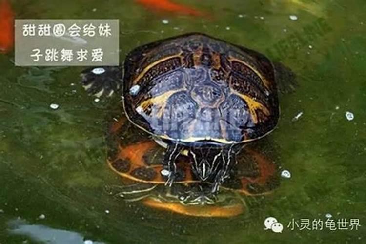 汉中的年俗有哪些？