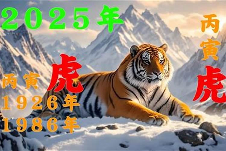 2025四十岁属什么
