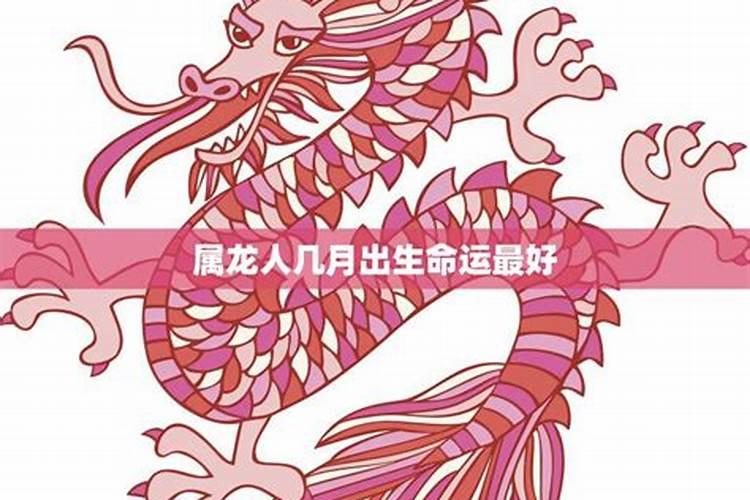 2024年属蛇大爆发 属蛇人今年运势如何