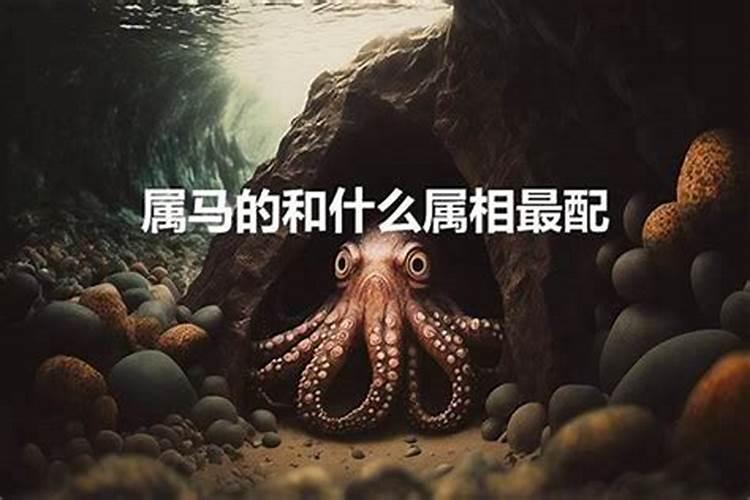 婚姻属相最好的配对