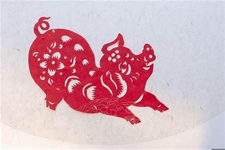 猪本命年带什么最旺