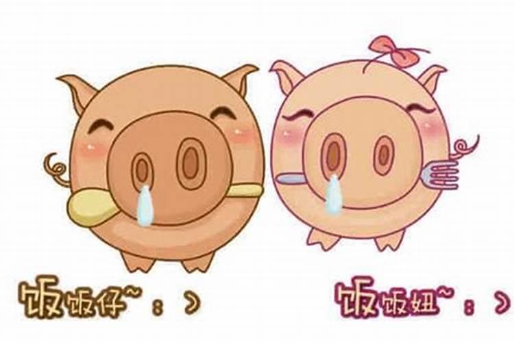 犯太岁对照表