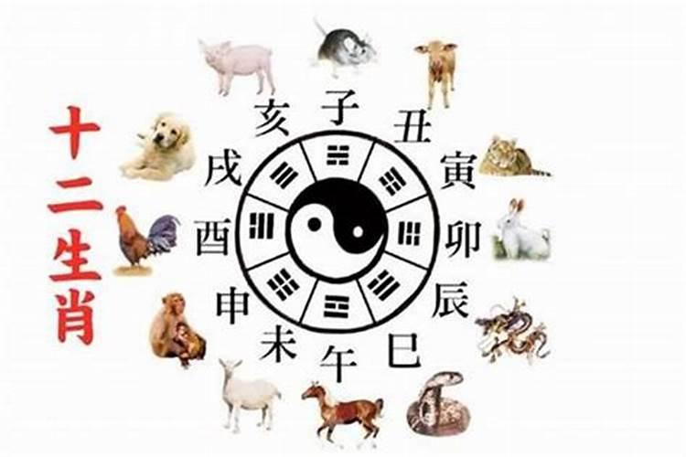 12生肖如何选择结婚的良辰吉日