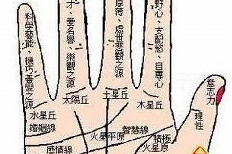 大连起名字,哪里好？