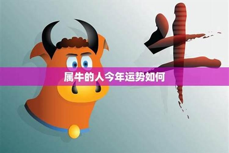 我的生日:1972年12月23日【农历】求大师帮我看看,以后我还有发展么...