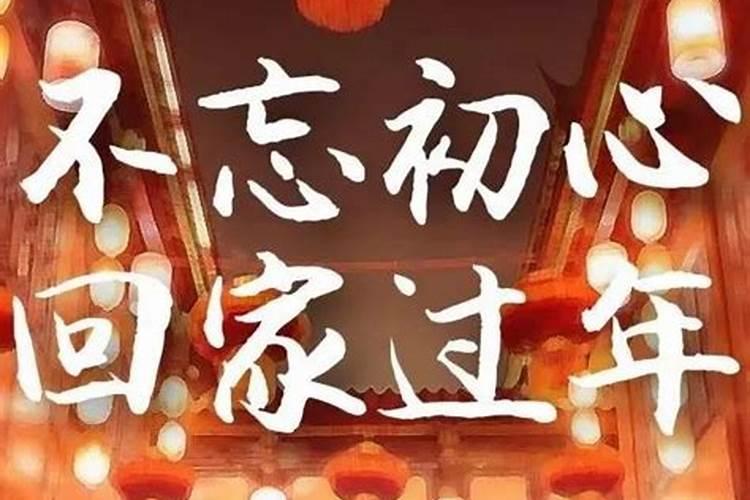 1975属兔女在2025年的每月运势