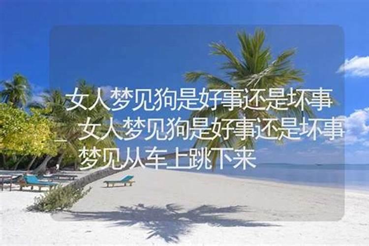 梦见被很多狗追着咬是什么意思？