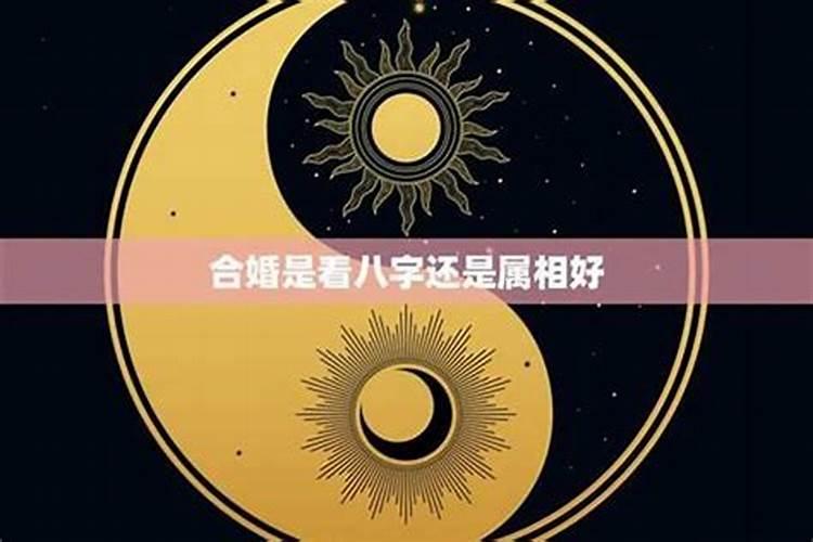 八字看命中注定的配偶属相 八字合婚