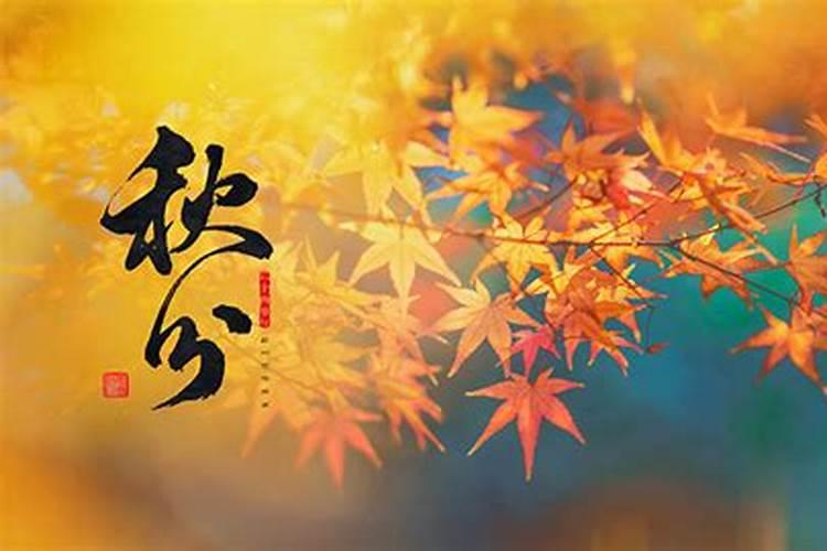秋分节气预示什么