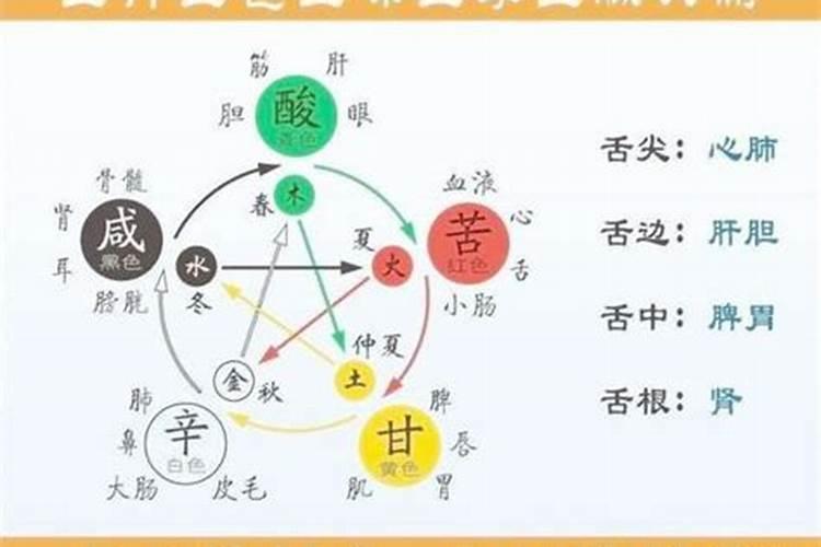 五行表婚配一览表 男女属相五行婚配可不可信？
