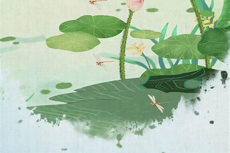 夏至与立夏有什么区别 立夏和夏至哪个是夏天的开始