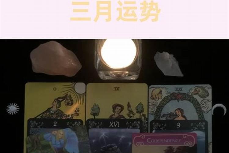 2004年5月3日凌晨2点15分出生的女孩命运如何？农历是三月十五。