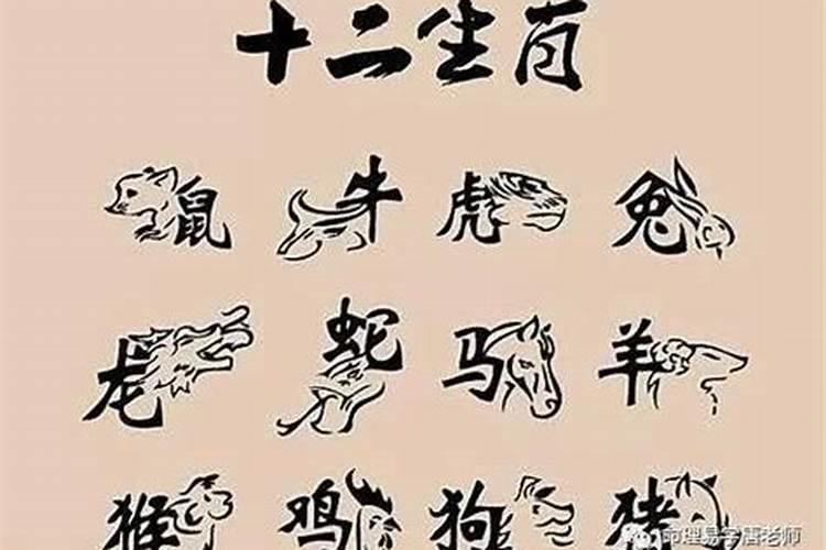 2019年己亥猪人的性格特点与命运展望