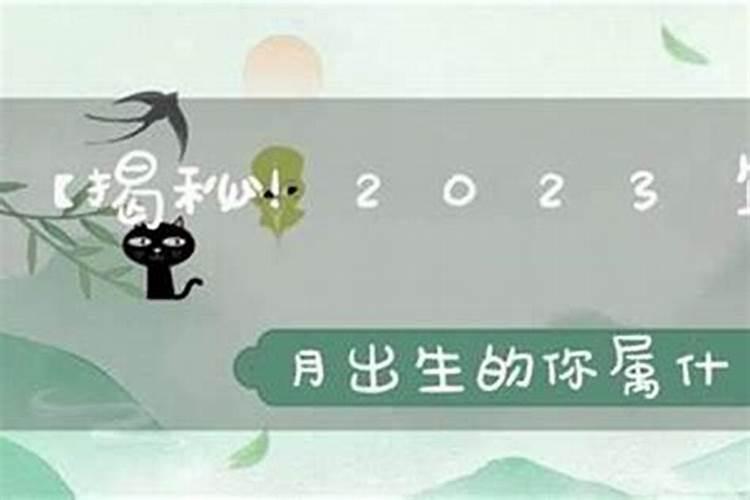 1994年出生狗2025多大了