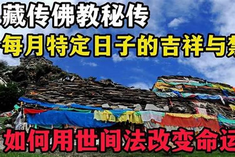 藏传马年转山,一圈12年功德在等你？
