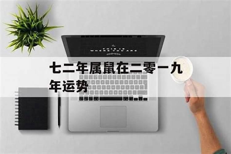 属鼠的二零一九年的运气如何？