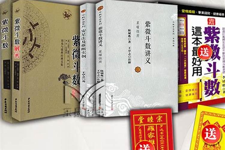 倪海厦紫微斗数排盘方式
