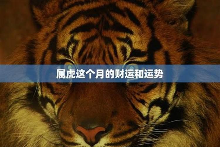 为子女操心的八字有什么特征？