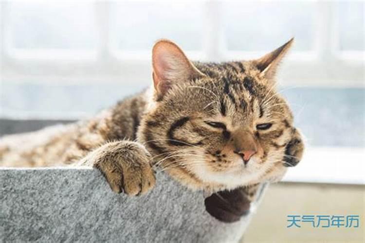 八月十五与国庆节一天,时隔多少年