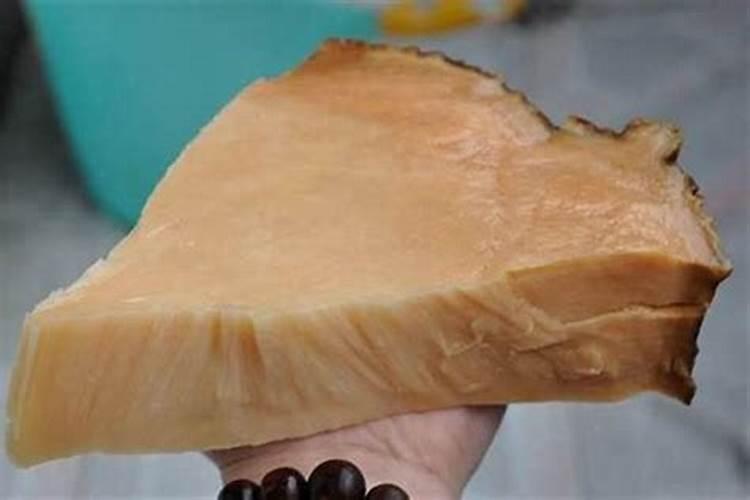 太岁是什么？为什么它有药用价值？