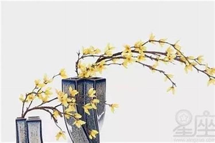 命理详解 2022年4月15日农历三月十五出生的女宝宝 五行属木