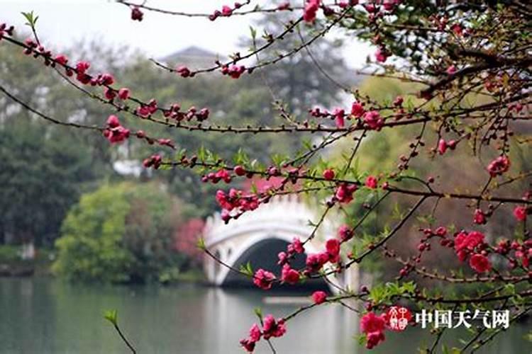 为什么广西要在三月三放假？