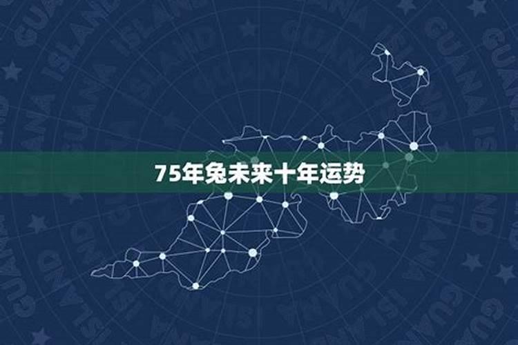 兔年2025年的运势怎么样