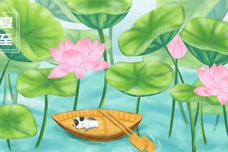 夏至前后不可割草或动土 夏至不可过度锻炼